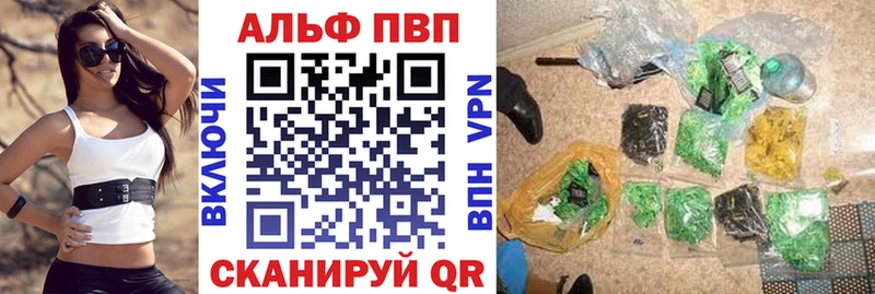 A PVP СК  Краснокаменск 